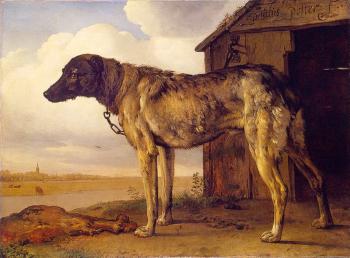 派勒斯 波特 Hound 派勒斯 波特 Hound